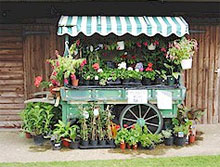 Jams Pickles and Plants stall