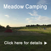 Meadow camping